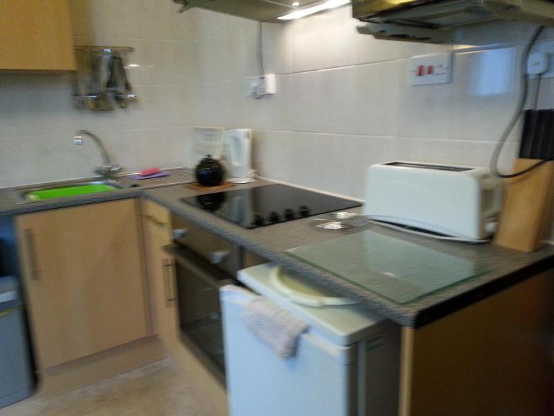 Two-Bedroom Apartment / First floor image 3