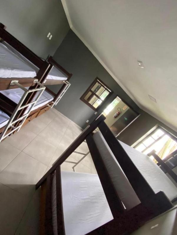 Bunk Bed in Mixed Dormitory Room image 1