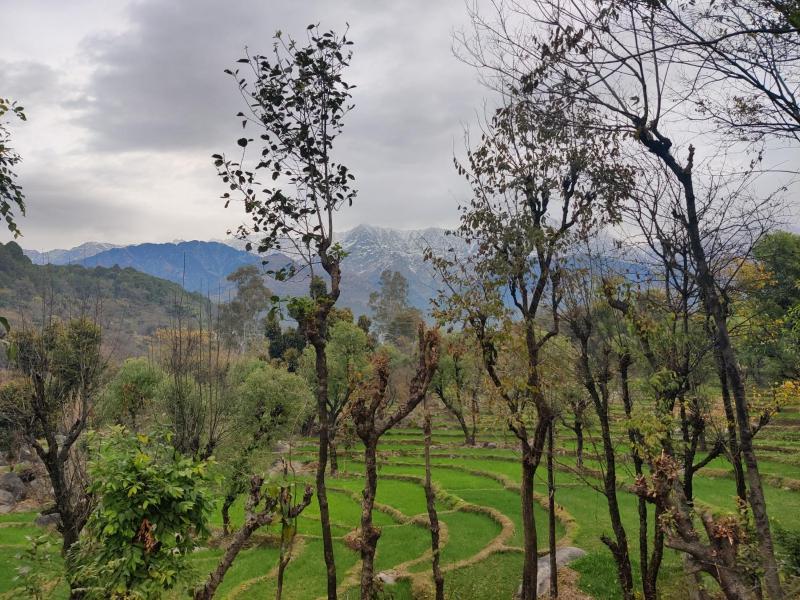 Dev Bhoomi Farms & Cottages - image 3