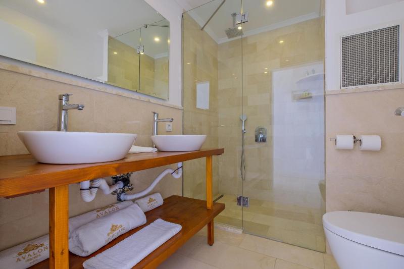 Deluxe Double Room image 3