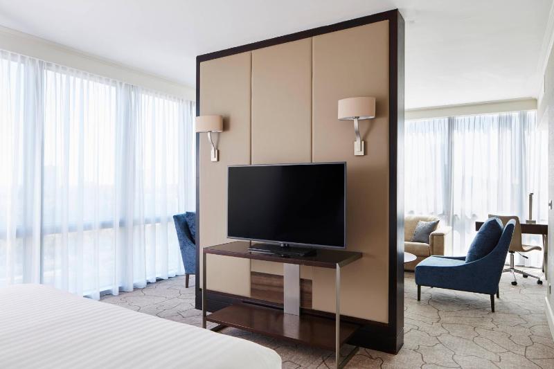 Executive Suite with Lounge Access image 3
