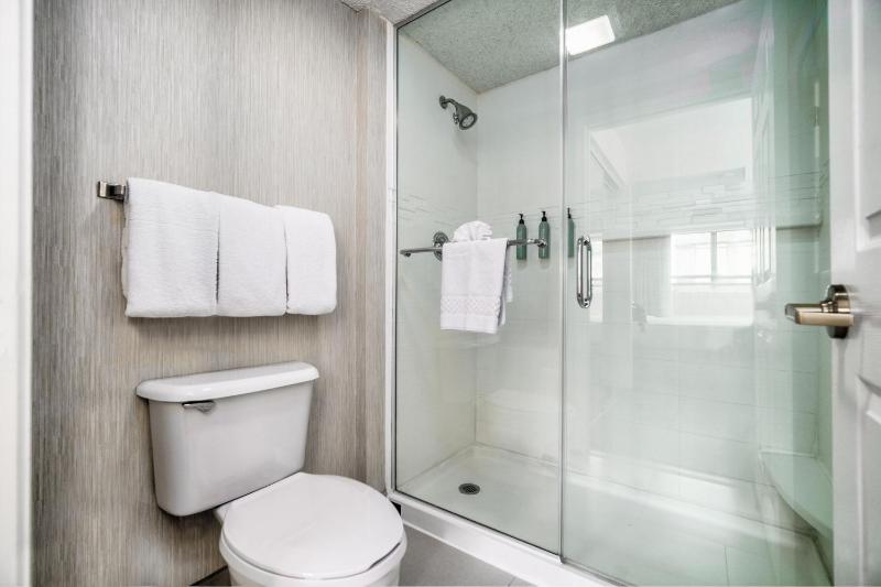 King Studio with Sofa Bed and Roll-in Shower - Mobility Accessible image 2