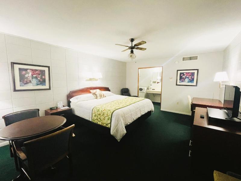 Deluxe Single Room image 4
