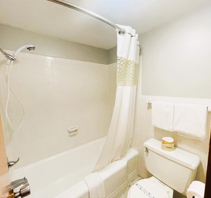 Deluxe Double Room image 4