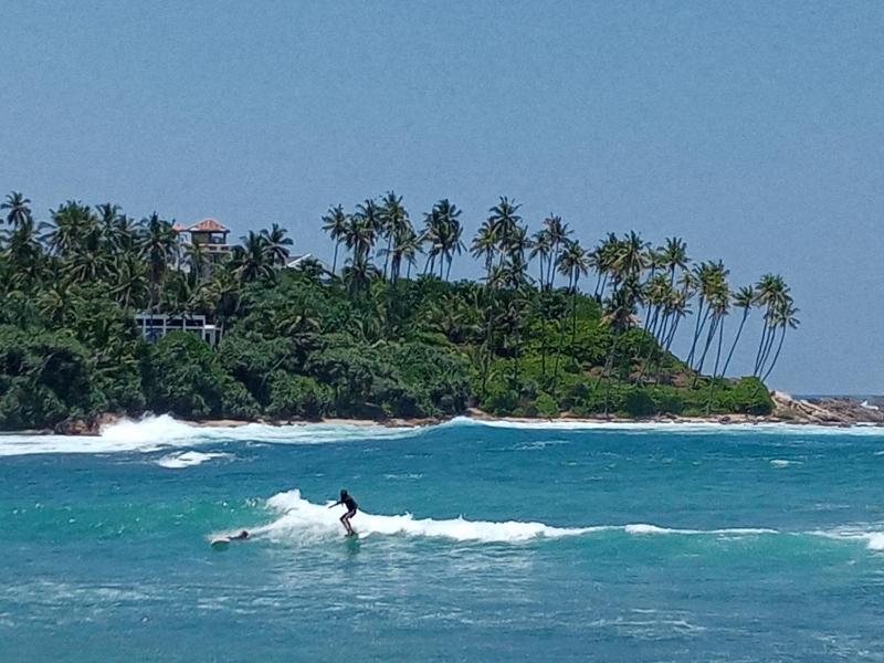 Surf Paradise 2 - image 43