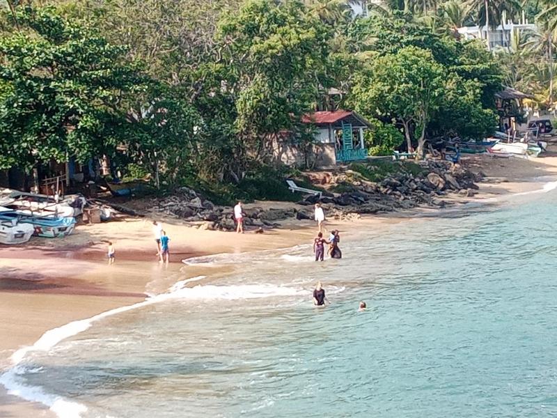 Surf Paradise - image 42