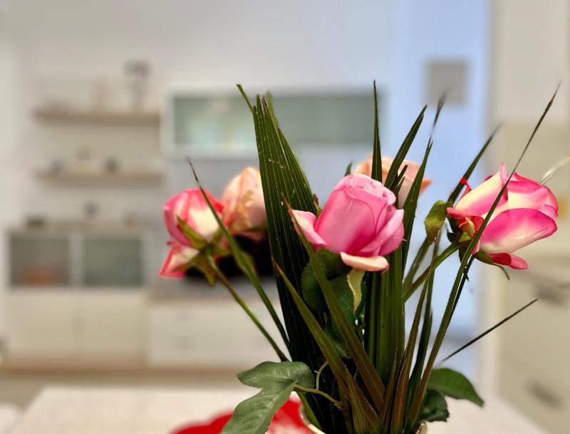 Apartman Nera - image 13