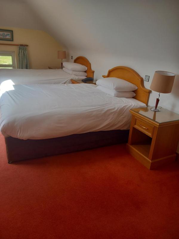 Twin Room image 1