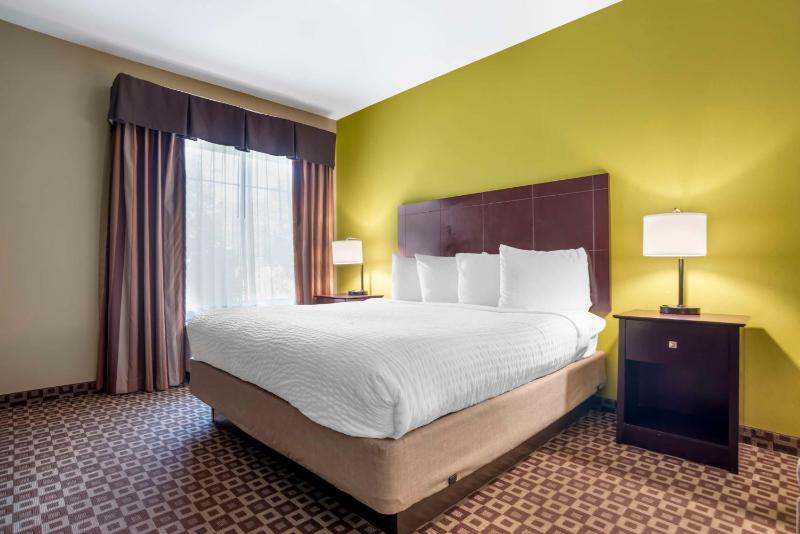 King Room - Non-Smoking image 3