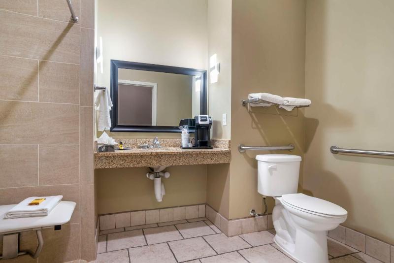 King Room with Roll-In Shower - Mobility Accessible image 3