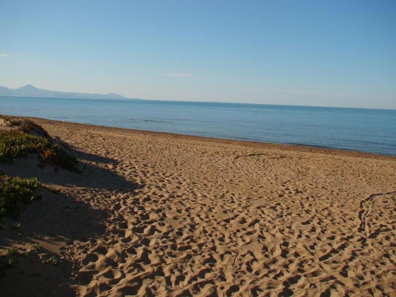 Bahia De Denia en primera linea de playa-Serviden - image 5