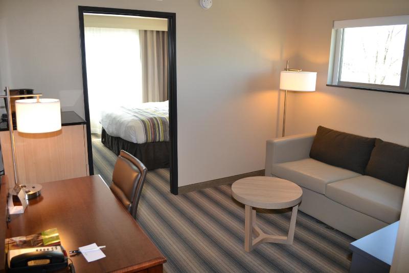 One-Bedroom King Suite with Sofa Bed image 2