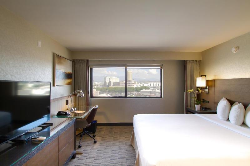 Deluxe King Room image 2