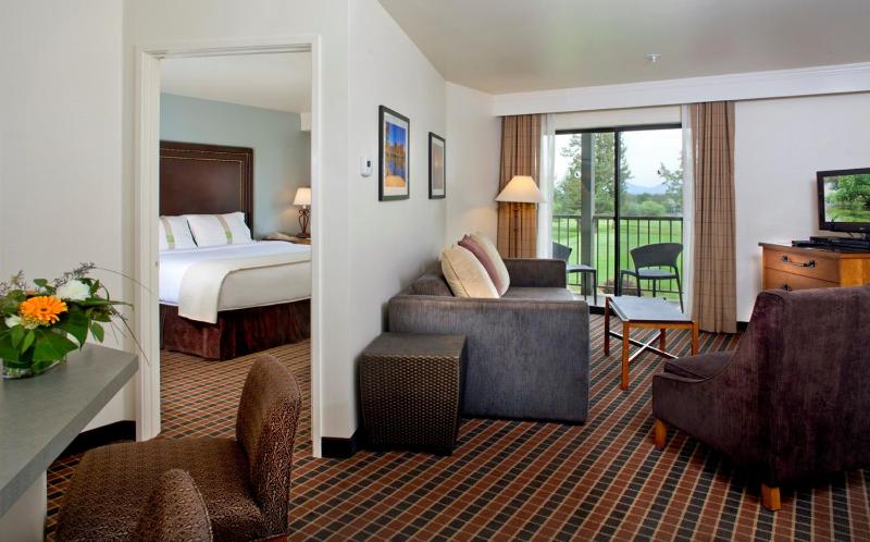 Deluxe King Suite image 1