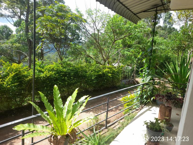 White Arcadia cottage - image 35