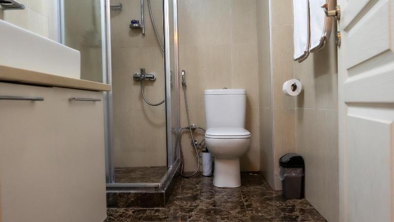 One-Bedroom Apartment image 3