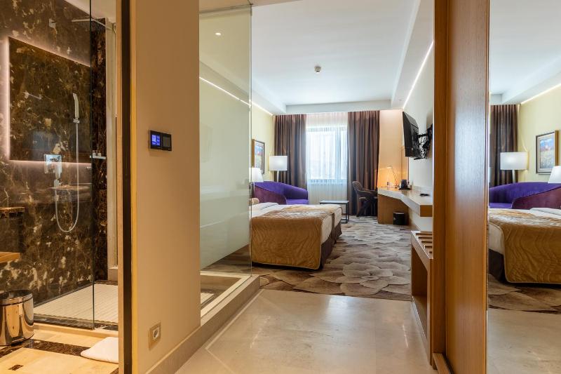 Twin Room image 2