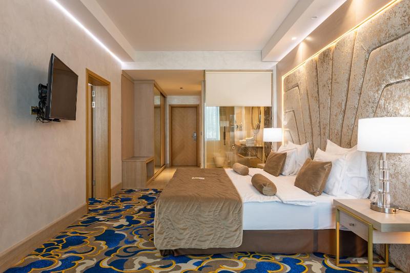 Superior King Suite image 4
