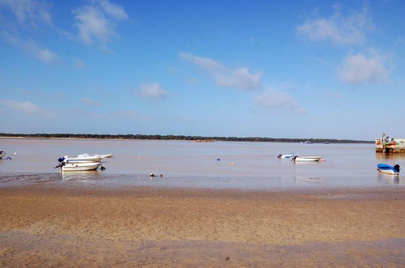 Apartamentos Sanlúcar & Doñana - image 16