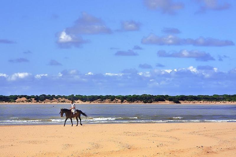 Apartamentos Sanlúcar & Doñana - image 32