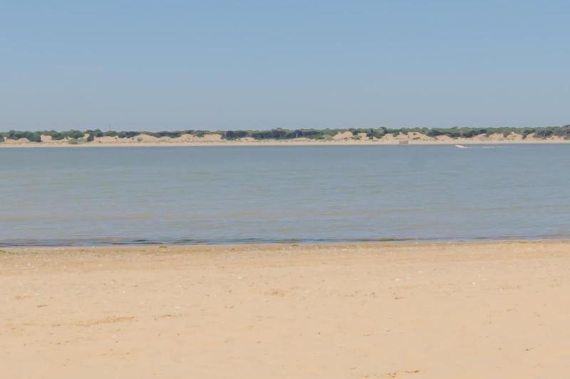 Apartamentos Sanlúcar & Doñana - image 45