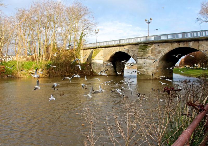 Deluxe Double Room image 2