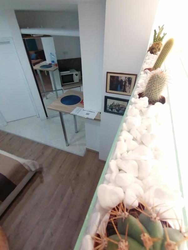 Apartman Dunja S - image 16