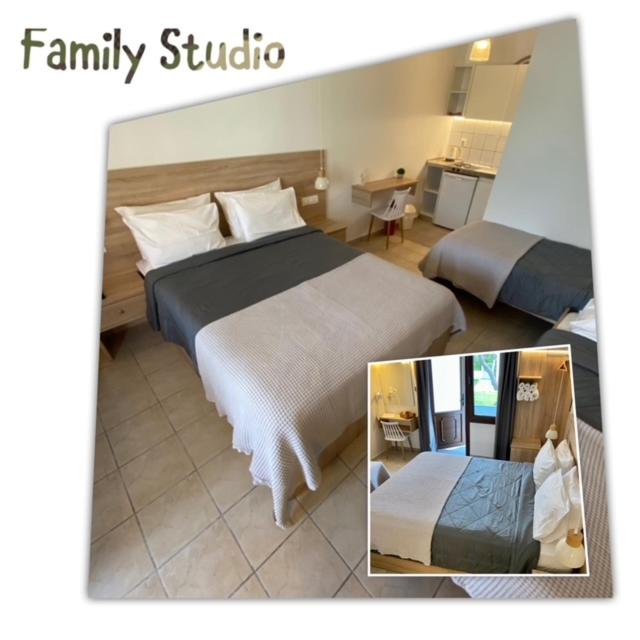 Family Studio image 1