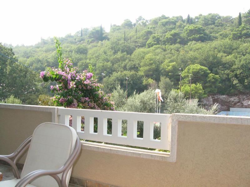 Two-Bedroom Apartment with Terrace image 4