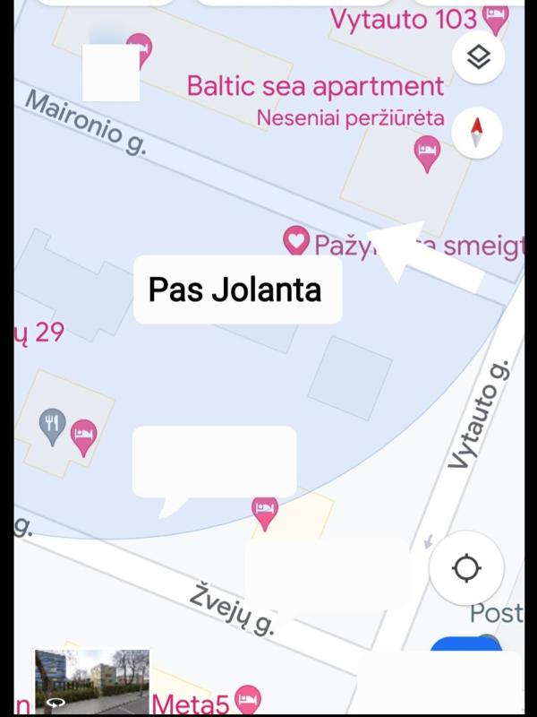 Pas Jolanta - image 23