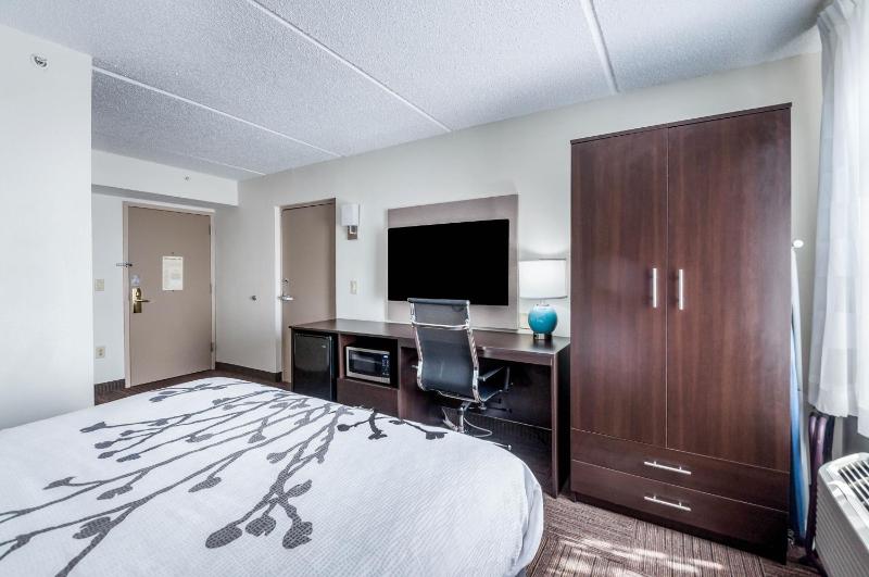 Queen Room - Disability Access image 3