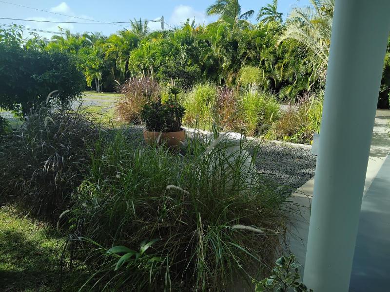 LES NUITS GALANTES VILLA PETREA PISCINE PRIVÉE - image 6