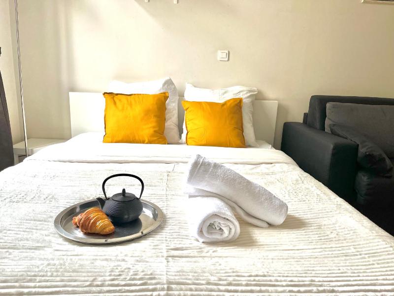 Cosy appartment in the marais district - image 8