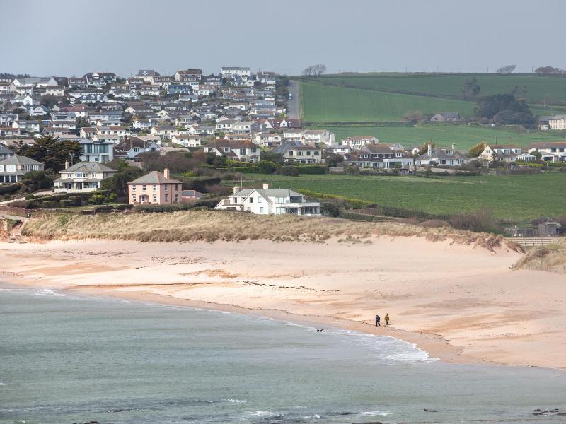 Sea Campion - image 38