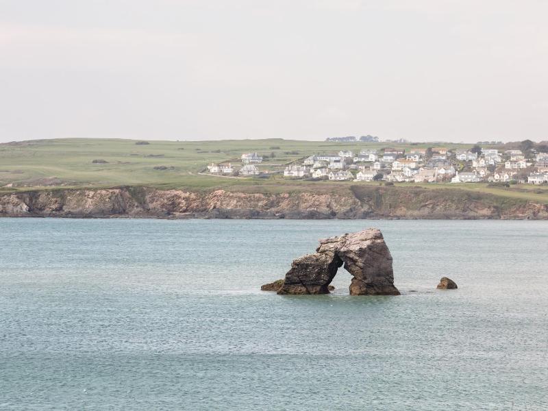 Sea Campion - image 31