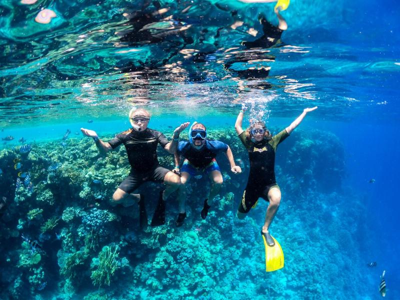 Royal Monte-Carlo Sharm Resort & SPA - image 22