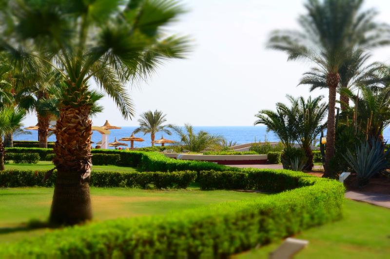 Royal Monte-Carlo Sharm Resort & SPA - image 42
