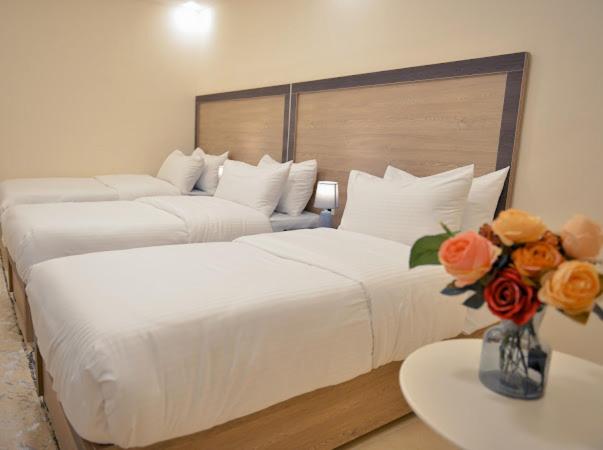 Beit Alshabaan Inn - image 16