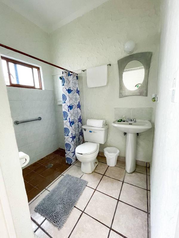 Hotel Allende - image 15