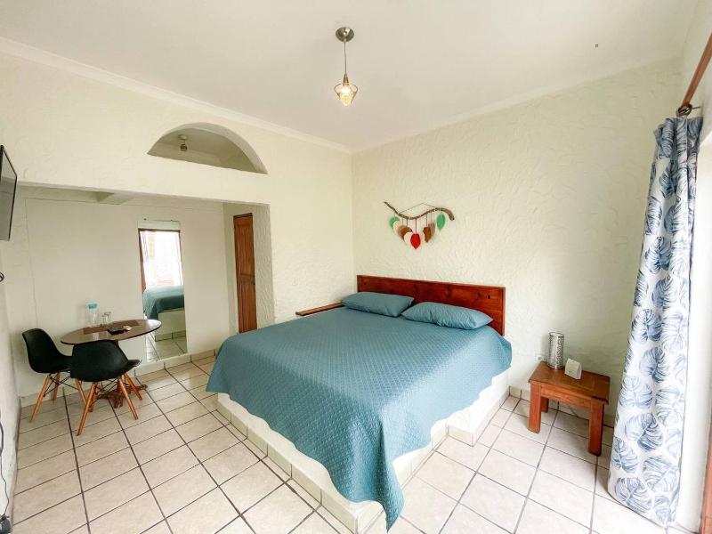 Hotel Allende - image 26