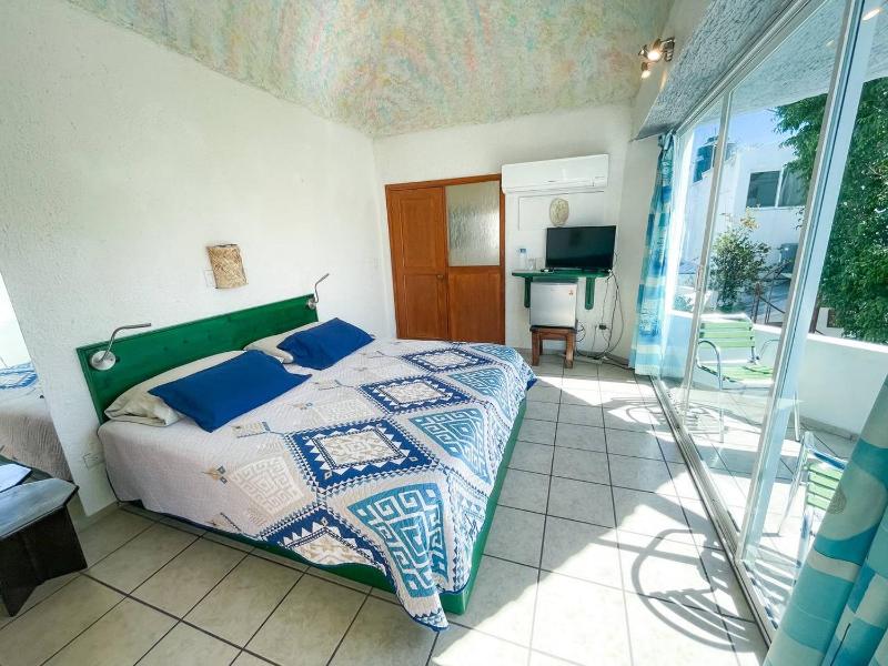 Hotel Allende - image 14