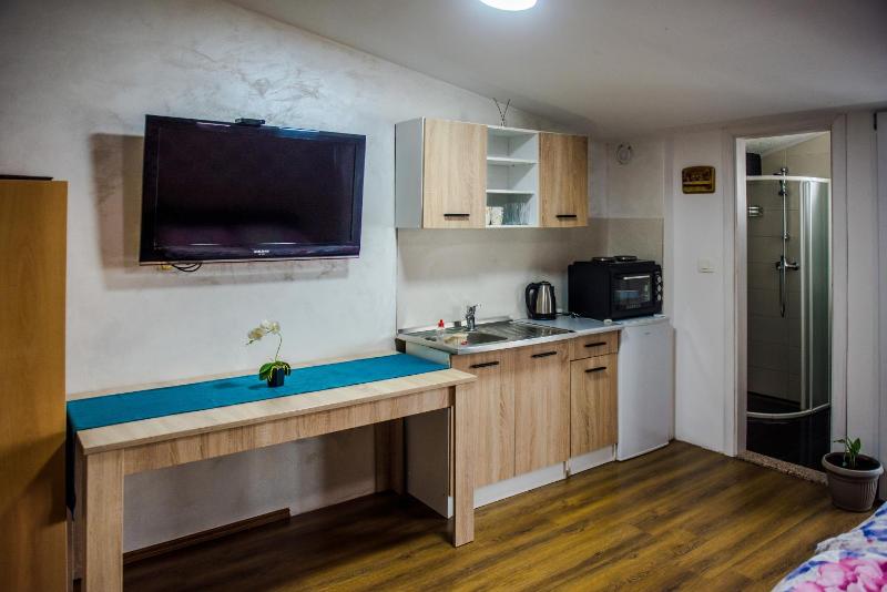 One-Bedroom Apartment image 4