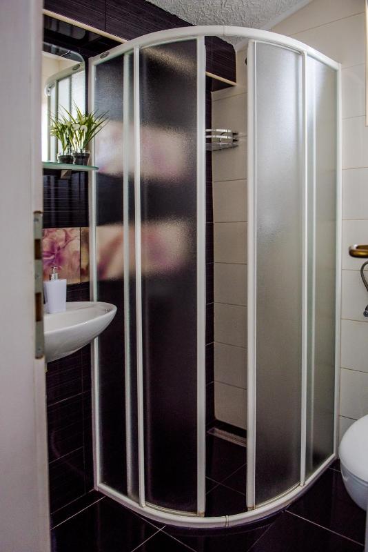One-Bedroom Apartment image 3