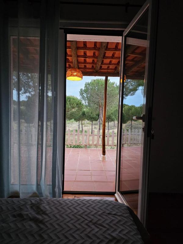 Twin Room with Terrace image 1