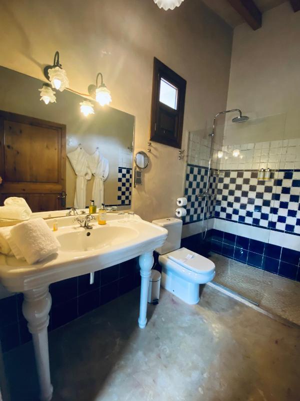Superior Double or Twin Room with Terrace image 3