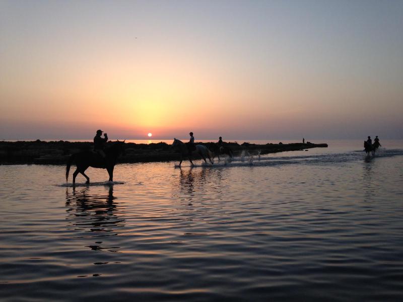 Al Vecchio Pontile Vista Mare - image 24