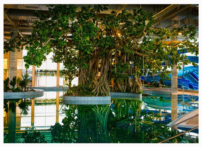 Amazonia Hotel - image 12