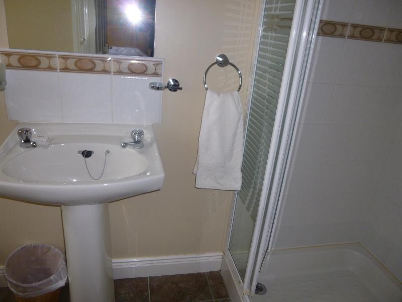 Standard Twin Room image 3