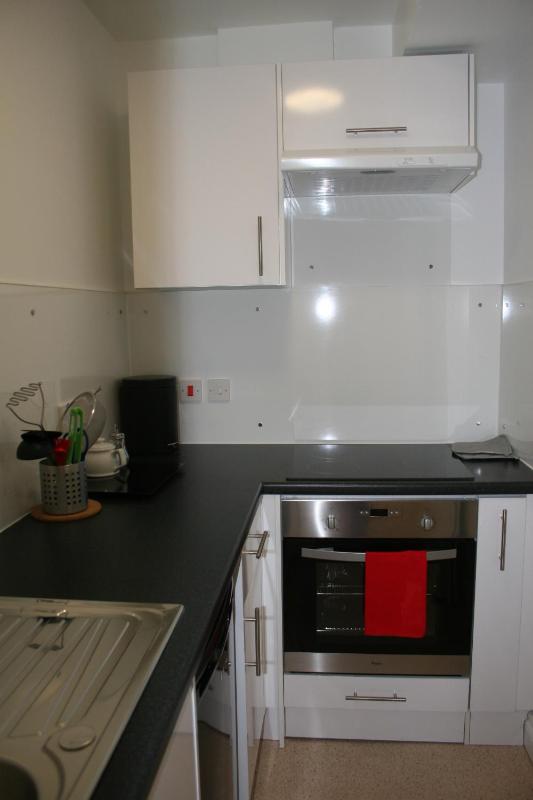 Superior Apartment with King Bed image 4