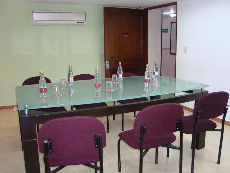Hotel Plaza Versalles - image 41